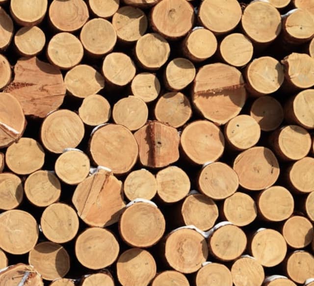 Logs
