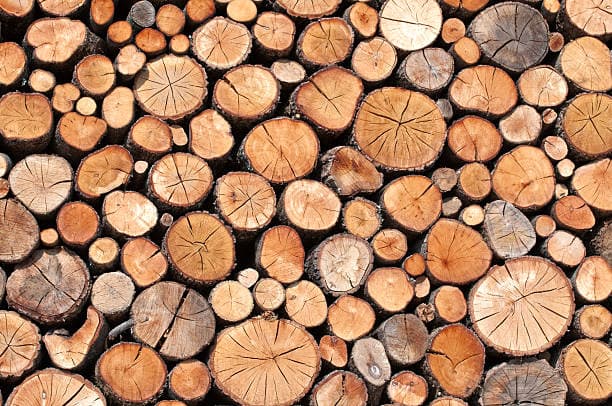 Stacked Logs
